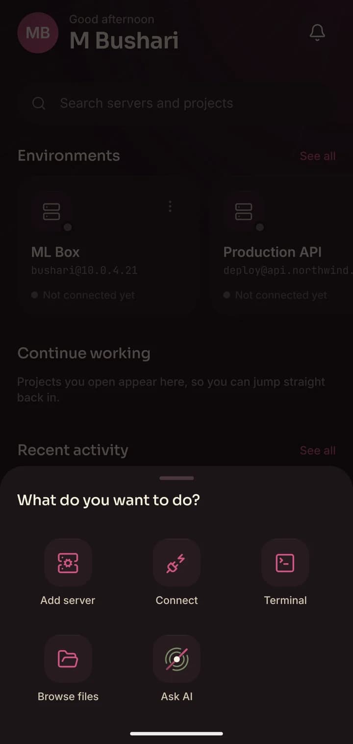 Hectix quick actions: Add server, Connect, Terminal, Browse files and Ask AI