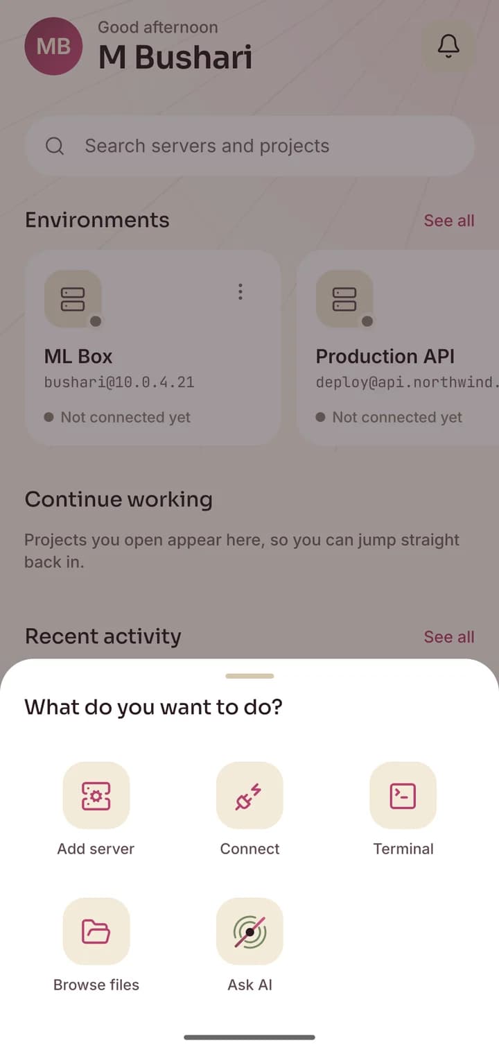 Hectix quick actions: Add server, Connect, Terminal, Browse files and Ask AI